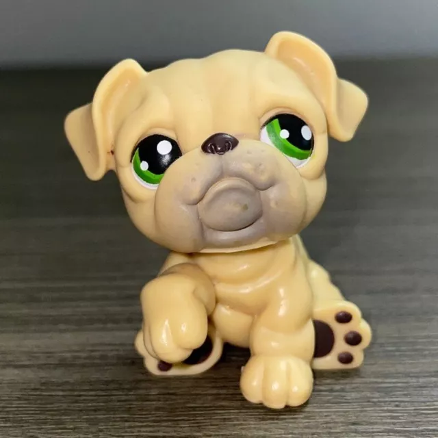 LPS 107 Bulldog Blemished