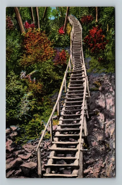Munising MI, Log Ladder Leading To Miners River Gorge, Michigan Vintage Postcard
