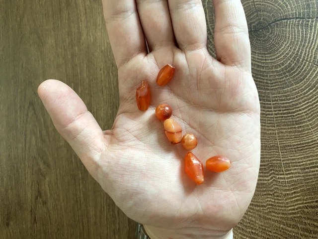 Ancient Antique Burmese Pyu Carnelian Beads - 7 Pieces - #301