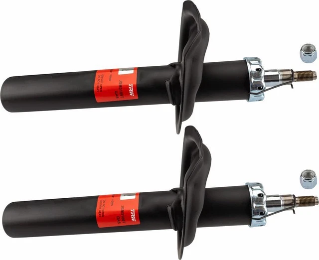 TRW Ammortizzatore JGM3189T Anteriore per Citroen Peugeot ZX + Break + Xsara + 91-15