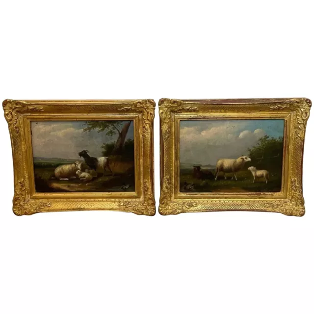 Pair Oil Paintings Sheep Lamb Goat Cattle & Ducks Signed Franz van Severdonck