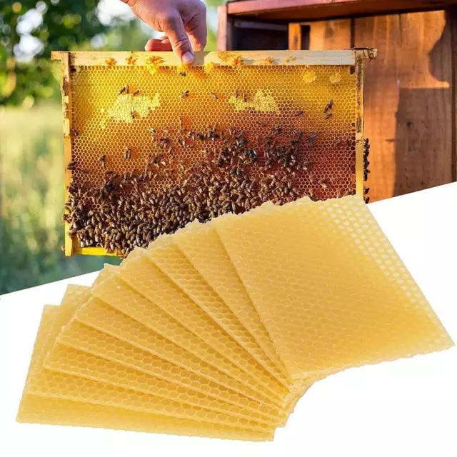 10X Beeswax Foundation Bee Hive Wax Frame Beekeeping Sheets Honeycomb O1Y4
