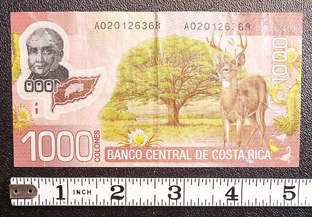 2009 Costa Rica 1000 Colones banknote P-274 circulated #12107