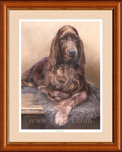 IRISH 'RED' SETTER fine art limited edition dog print
