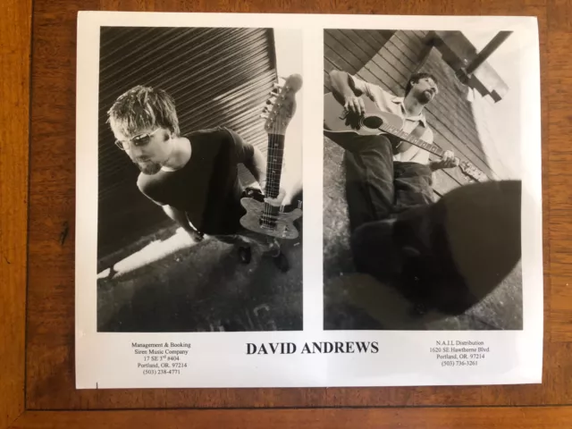 Musician Dave Andrews Rare Vintage 10x8 Press Photo