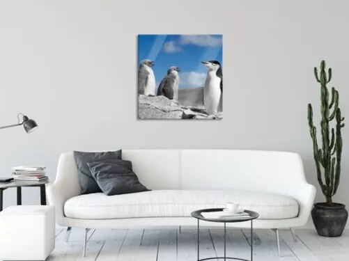 Dulce Pingüinos Imagen Cuadrados De Vidrio Real, Con Soporte Pared 2