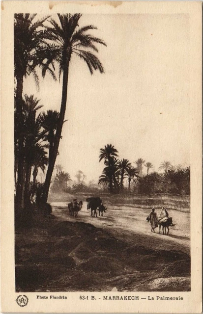 CPA AK MAROC MARRAKECH La Palmeraie Flandrin (37995)
