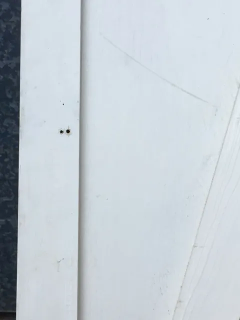 21”x50 7/8” Reclaimed Old Painted Pine Two Panel 1 Over 1 Short Internal Door 12