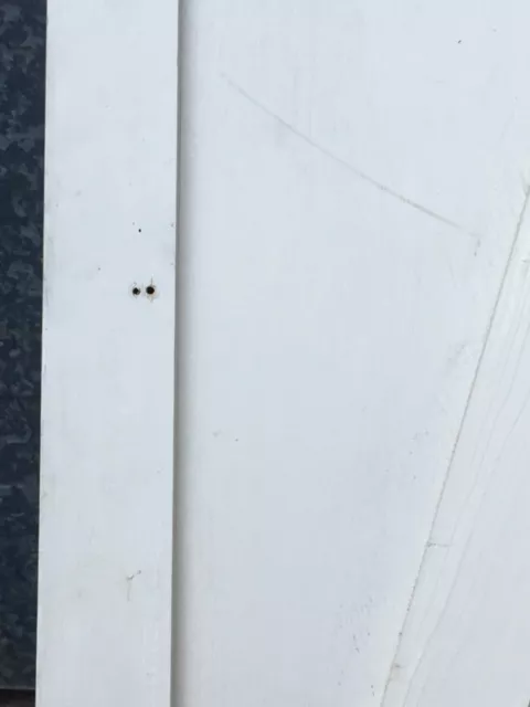 21”x50 7/8” Reclaimed Old Painted Pine Two Panel 1 Over 1 Short Internal Door 12