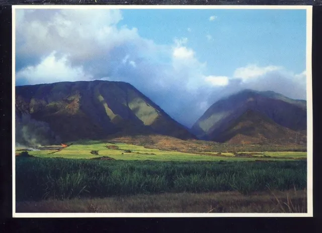 VTG Postcard, Oluwalo Maui Hawaii, 1985