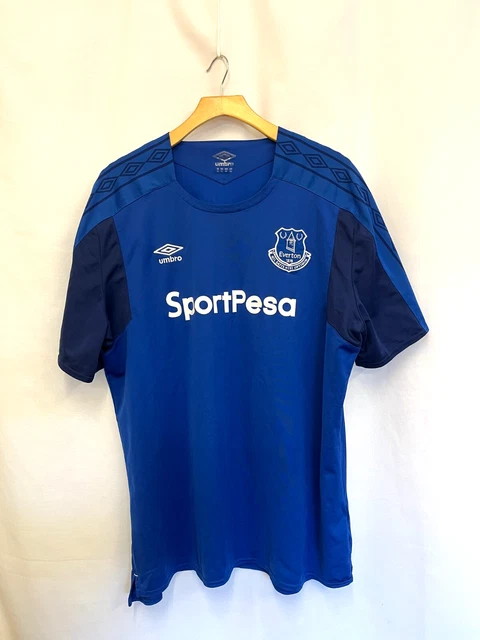 Everton sign Angry Birds as first sleeve sponsor