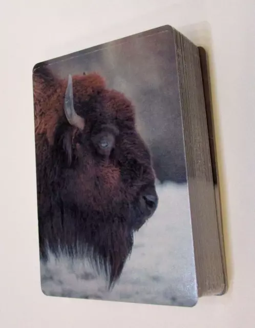 North American Bison Nagel Photography New Recycled Paper Playing Cards FREE S/H