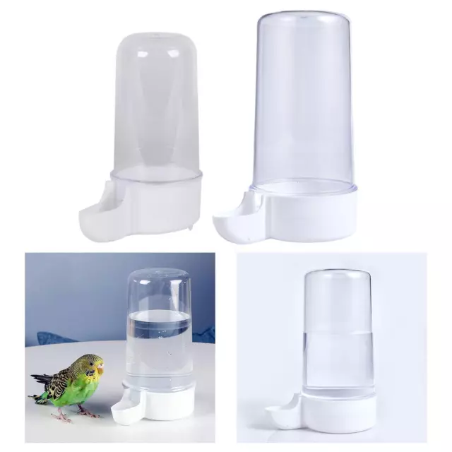 Abreuvoir automatique pour oiseaux, distributeur d'eau pour oiseaux, abreuvoir