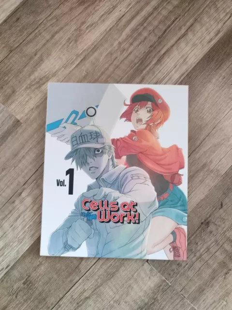 Cells at Work! - Vol. 1 - Blu-Ray + DVD - sehr guter Zustand