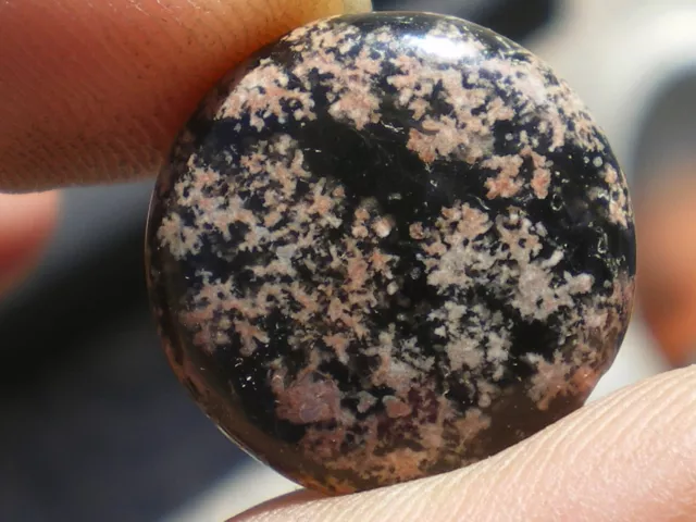 Fractal Pendentif Orbiculaire Obsidienne Flocon de Neige  14 cts  ( Canada )