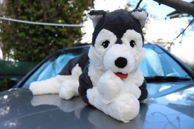 Ikea Husky Dog Plush Ikea Toys For Siberian Husky Ikea Husky New