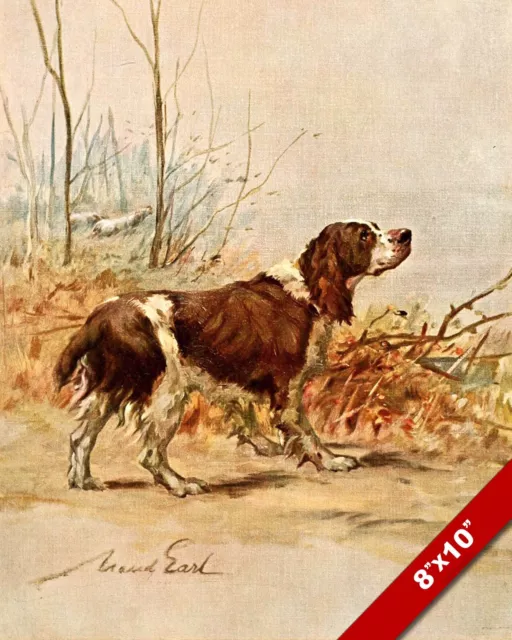 The Happy English Springer Spaniel Pet Dog Art Painting Print On Real Canvas