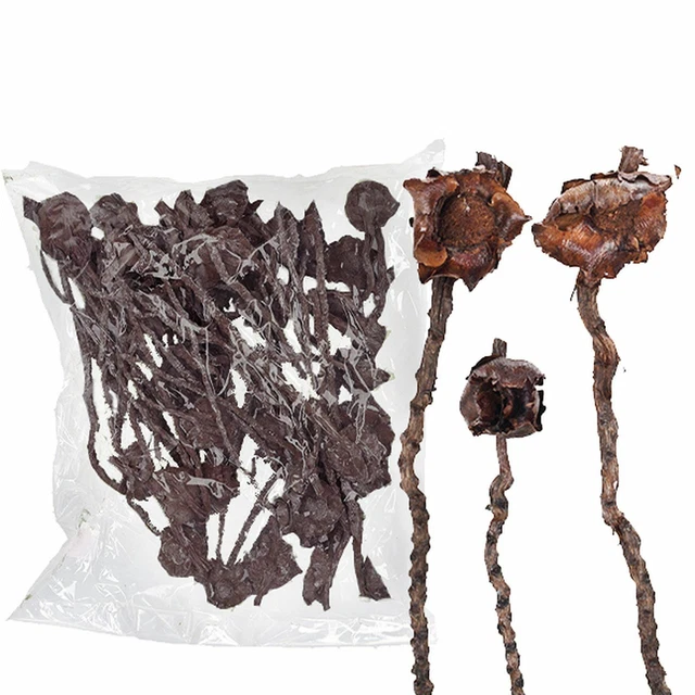 Coco Flower - 50 Piezas - Natural Barnizado