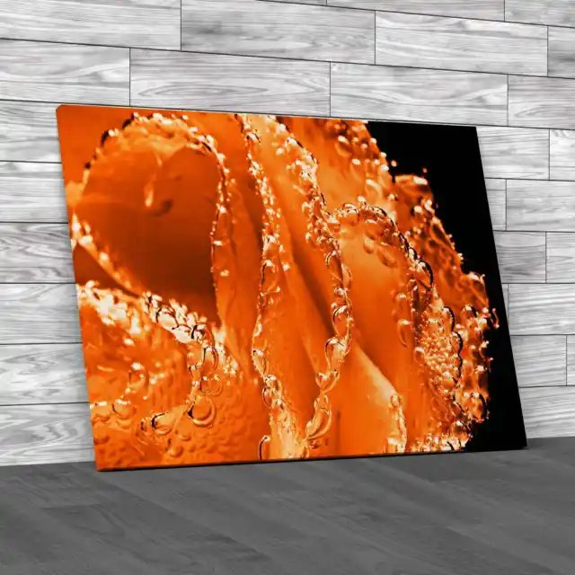 Lovely Underwater Rose Orange Canvas Print Large Picture Wall Art