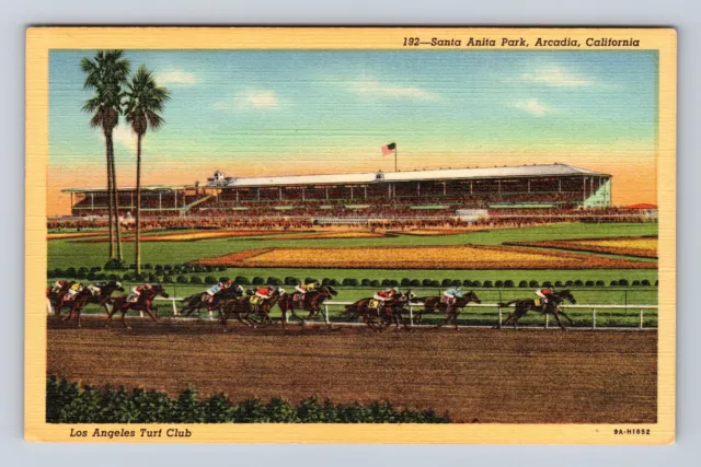 Arcadia CA-California, Santa Anita Park, Los Angeles Turf Club, Vintage Postcard