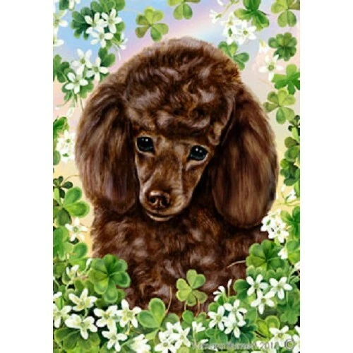 Clover Garden Flag - Chocolate Poodle 312261