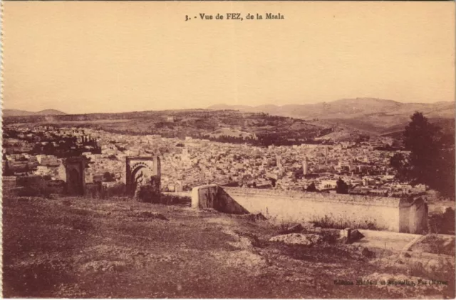 CPA AK Fez - Vue de Fez - De la Msala MAROC (1082775)