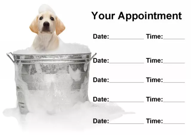 Dog Grooming Groomer Personalised Appointment Cards