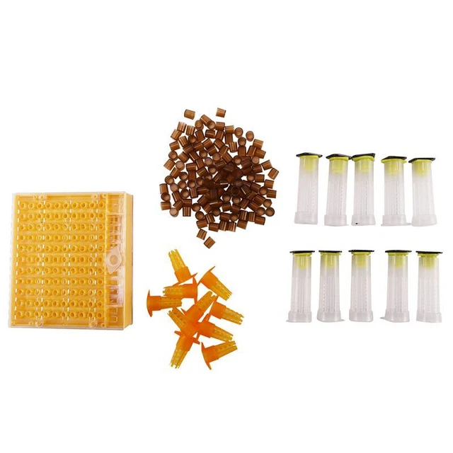 Ensemble de Tasse D'Apiculture Ensemble D'Outils D'Abeille de 120 Tasses de8234