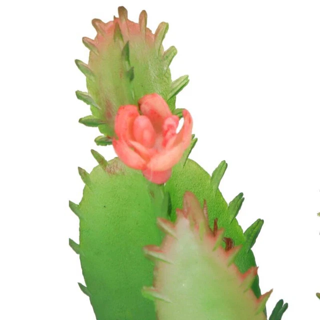 Realistic Artificial Plant for Reptile Vivariums | Terrarium Ornament