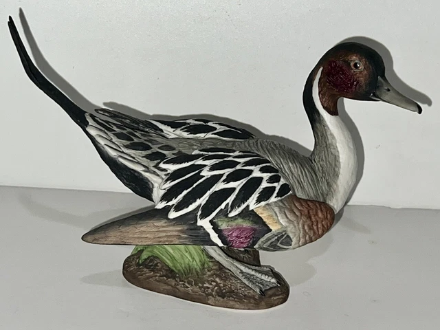 Rare Boehm Art Pottery Porcelain Bird Pintail Duck Figurine 40179 Male