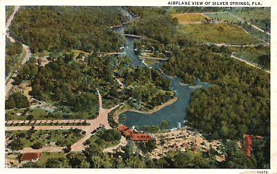 Vintage Postcard 1920's Largest Flowing Spring Silver Springs Florida Nature FL