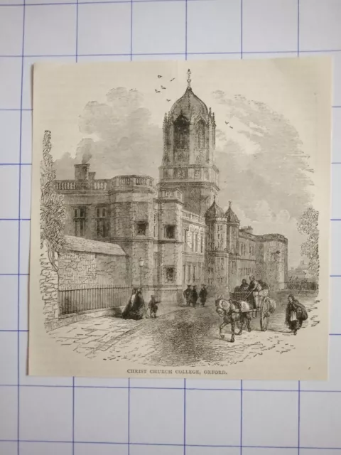 Christ church college Oxford horse and cart Street England illustration 1891