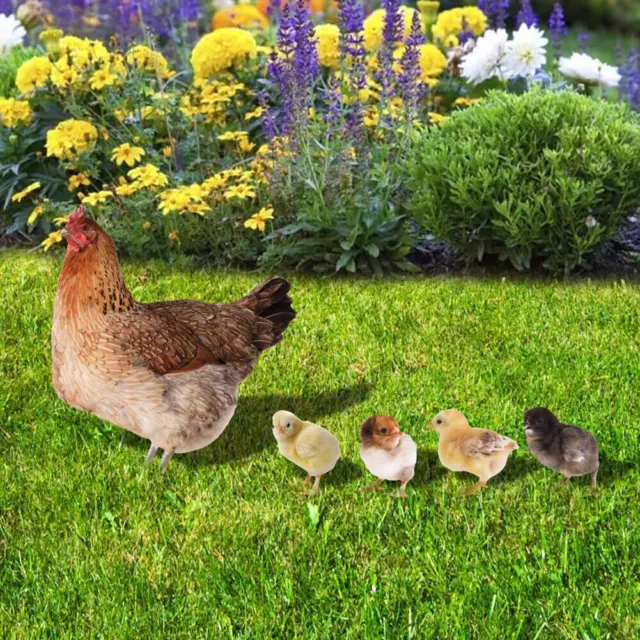 Acrylic 2D Chicken Sculpture Christmas Gifts Home Party Decor for Backyard Patio