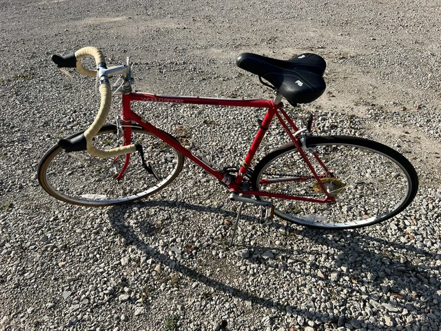 schwinn world sport 4130