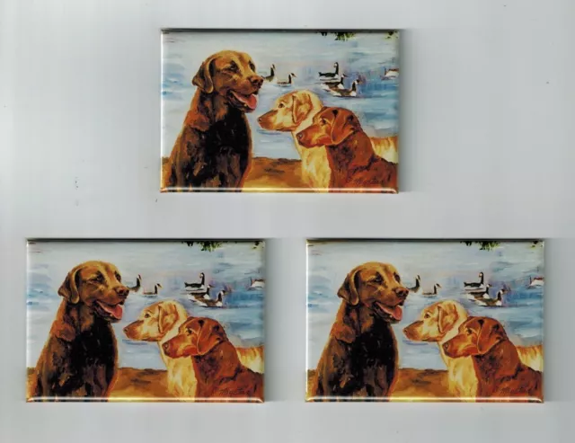 New Chesapeake Bay Retriever 2" x 3" Magnet Set 3 Magnets By Ruth Maystead