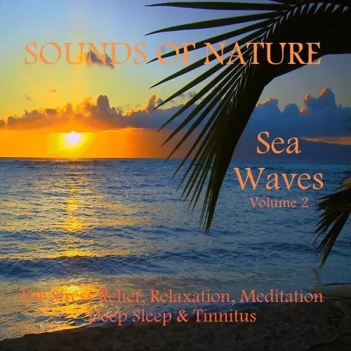 2 CDs: NATURAL SOUNDS: SEA WAVES & HEAVY RAIN VOL. 2: RELAXATION, STRESS, SLEEP 2