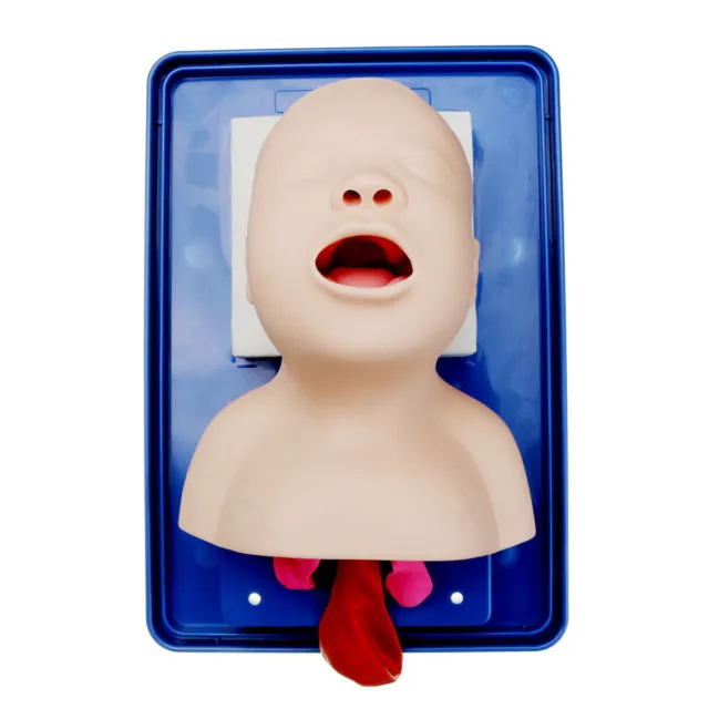 Intubation Manikin Study Baby Infant Teaching Model Airway Management Trainer