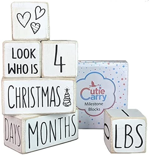 Milestone Blocks by Cutie Carry 6 Wood Block Photography Props The Most Compl...