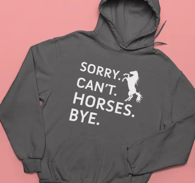 Sorry Can't Horses Bye Hoodie Funny Retro Riding Equestrian Lovers Retro Gifts