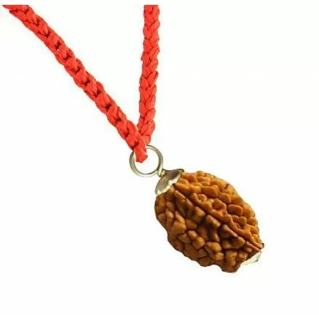 2 Mukhi Deux Faces Nepali Rudraksha Beads Pendant Original Pour Homme & Femme