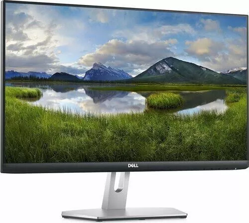 Dell S2421HN 23,8 Zoll Monitor IPS Full HD 1920x1080 HDMI 4ms schwarz/weiß