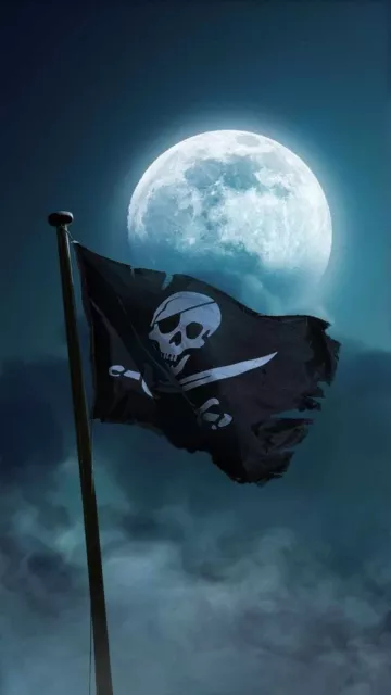 PLAQUE  DÉCORATIVE EN MÉTAL ÉTAIN pirate  30X20 CM