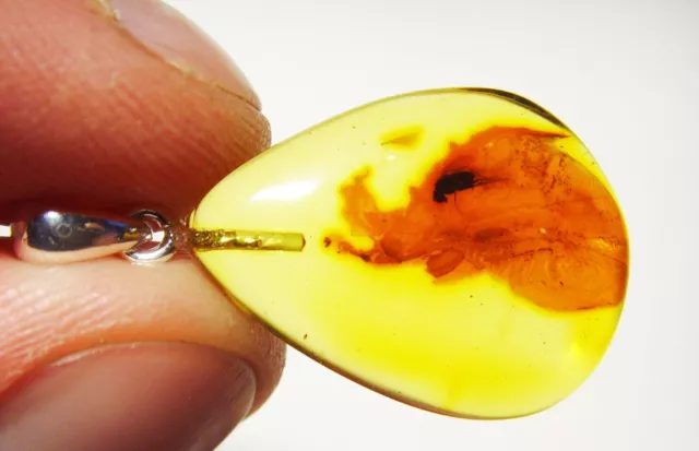 Baltic Amber Pendant with Insect Inclusion Genuine Natural Amber  Insect Fossil 2