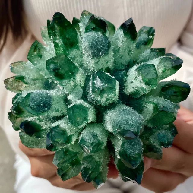 1.2LB New Find Green Phantom Quartz Crystal Cluster Mineral Specimen Healing