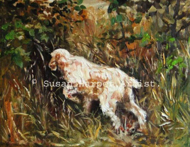 Italian Spinone Signed Dog Print by Susan Harper Unmounted