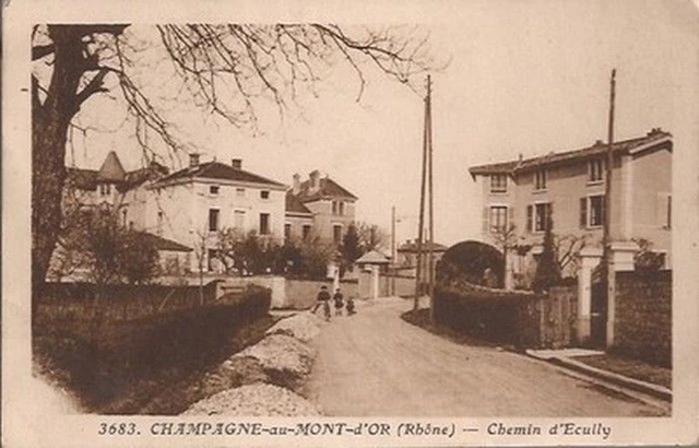 Cpa 69 Champagne Au Mont D Or. Le Chemin D Ecully / N°3683. Ecrite En 1948.Tbe.$