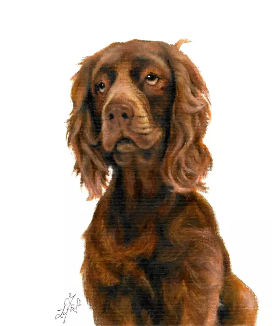 ✤ ORIGINAL Oil Portrait Painting SUSSEX SPANIEL Artist Signed Artwork Puppy Dog