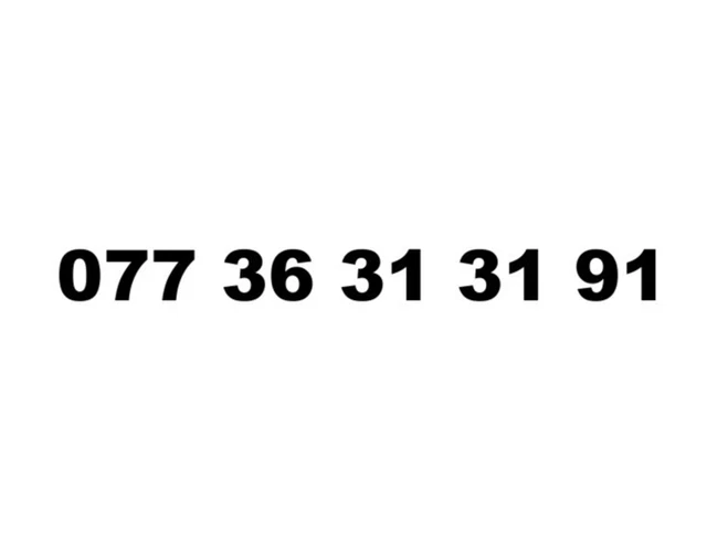 Gold Vip Business Easy Memorable Mobile Phone Number Platinum Sim 07736 31 31 91