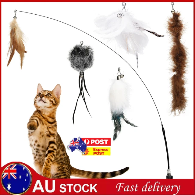 6x Cat Play Toy Simulation Birds Teaser Wand Interactive Stick with Suction Cup