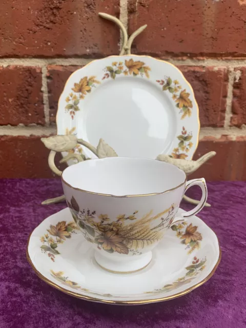 VINTAGE ROYAL VALE ‘AUTUMN’ TRIO - c1960’s, Bone China, England